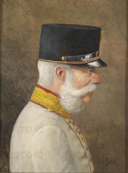 Portrait of Franz Joseph I of Austria. Artist: Ledeli, Moritz (1856-1920)