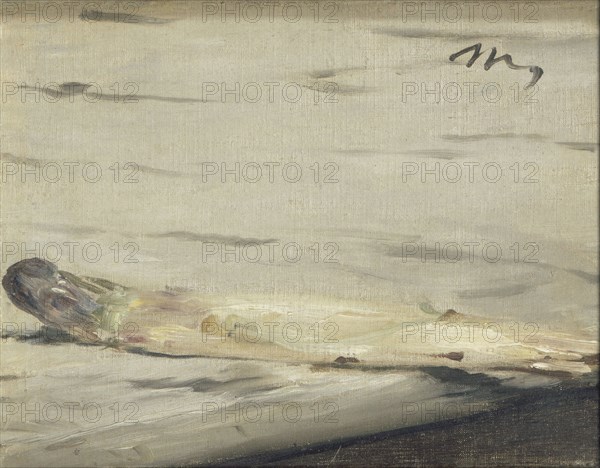 Asparagus, 1880. Artist: Manet, Édouard (1832-1883)
