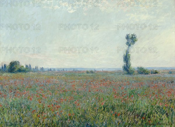 Poppy field, 1881. Artist: Monet, Claude (1840-1926)