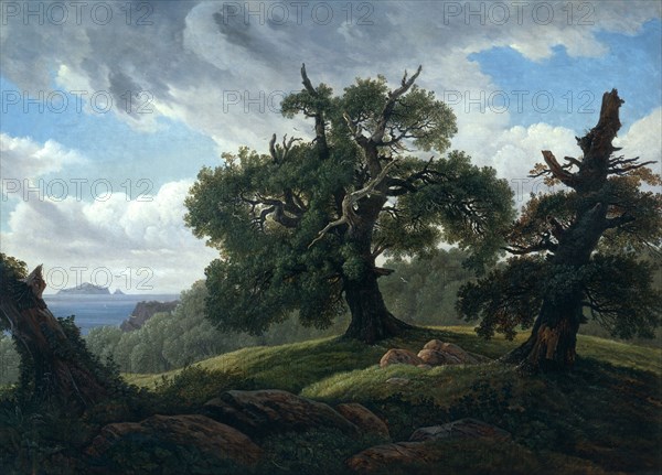 Memory of a Wooded Island in the Baltic Sea (Oak trees by the Sea), 1835. Artist: Carus, Carl Gustav (1789-1869)