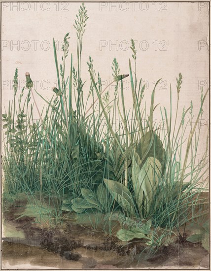 The Large Piece of Turf, 1503. Artist: Dürer, Albrecht (1471-1528)