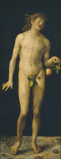 Adam, 1507. Artist: Dürer, Albrecht (1471-1528)