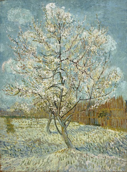 The Pink Peach Tree, 1888. Artist: Gogh, Vincent, van (1853-1890)