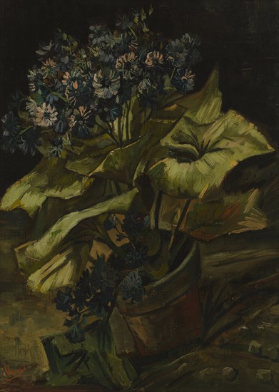 Cineraria, 1886. Artist: Gogh, Vincent, van (1853-1890)