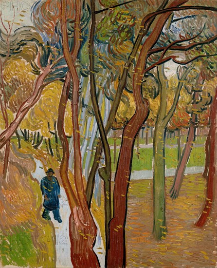 The garden of Saint Paul's Hospital (The fall of the leaves), 1889. Artist: Gogh, Vincent, van (1853-1890)