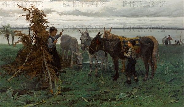 Boys herding donkeys, 1865. Artist: Maris, Willem (1844-1910)