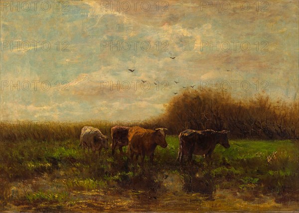 Cows at evening. Artist: Maris, Willem (1844-1910)