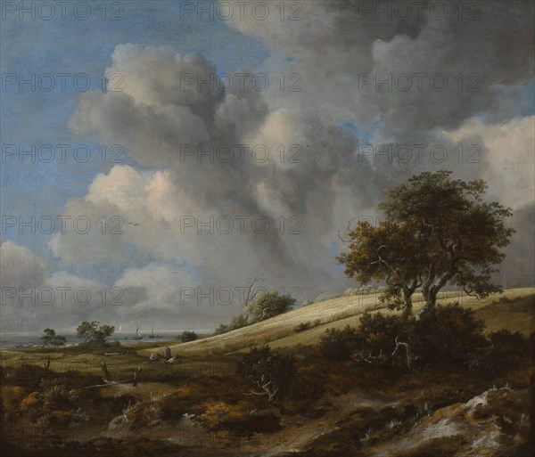 A Cornfield with the Zuiderzee in the background, c. 1660. Artist: Ruisdael, Jacob Isaacksz, van (1628/29-1682)