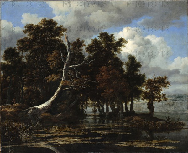 Oaks at a lake with Water Lilies. Artist: Ruisdael, Jacob Isaacksz, van (1628/29-1682)