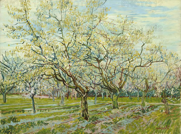 The white orchard, 1888. Artist: Gogh, Vincent, van (1853-1890)