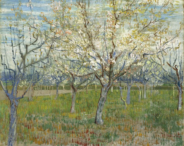 The pink orchard, 1888. Artist: Gogh, Vincent, van (1853-1890)