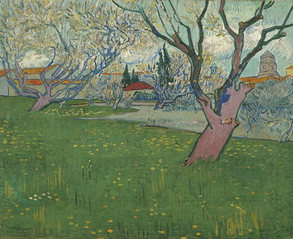 Orchards in blossom, view of Arles, 1889. Artist: Gogh, Vincent, van (1853-1890)