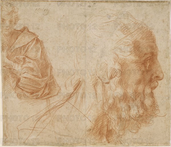 A youth and the head of an old man (Homer?). Study, ca 1521. Artist: Andrea del Sarto (1486-1531)