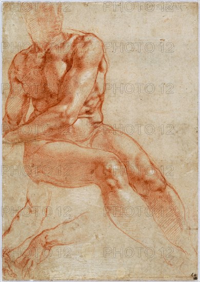 Seated Young Male Nude and Two Arm Studies, ca 1510-1511. Artist: Buonarroti, Michelangelo (1475-1564)