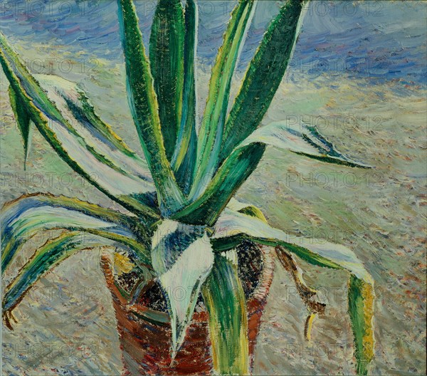 Agave, 1891. Artist: Borisov-Musatov, Viktor Elpidiforovich (1870-1905)