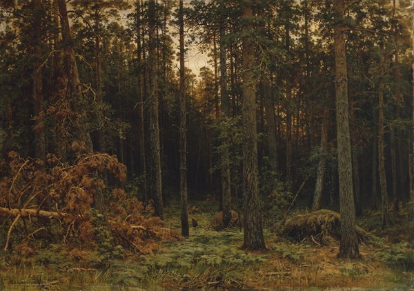 Pinewood, 1885. Artist: Shishkin, Ivan Ivanovich (1832-1898)