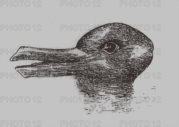 Duck-Rabbit illusion. From: Jastrow, J. The mind's eye. Popular Science Monthly, 1899. Artist: Jastrow, Joseph (1863-1944)