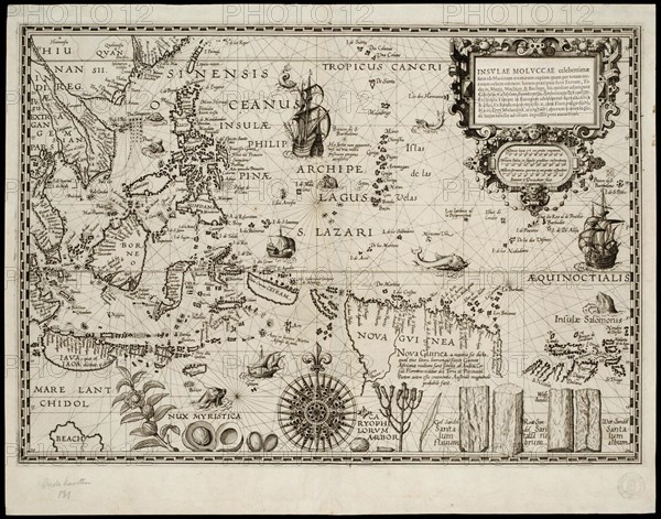 Insulae Moluccae celeberrimae sunt ob maximam aromatum copiam quam per totum terrarum orbem mittunt? Artist: Plancius, Petrus (1552-1622)