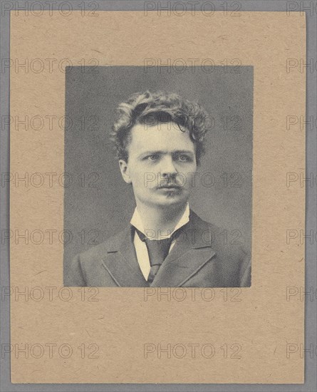 August Strindberg Artist: Roesler, August Josef Robert (1837-1896)