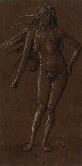 Witch. Artist: Manuel, Niklaus (ca. 1484-1530)