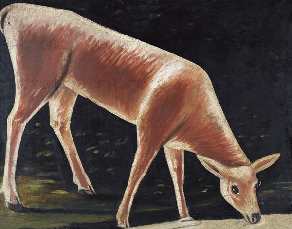 Roe deer drinking. Artist: Pirosmani, Niko (1862-1918)