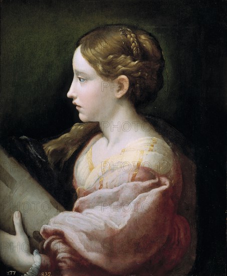 Saint Barbara. Artist: Parmigianino (1503-1540)