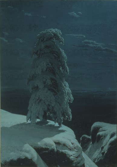 In the wilds of the North. Artist: Shishkin, Ivan Ivanovich (1832-1898)
