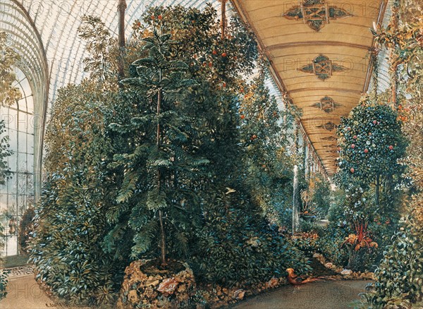 Interior of the Palm House of Lednice Palace. Artist: Alt, Rudolf von (1812-1905)