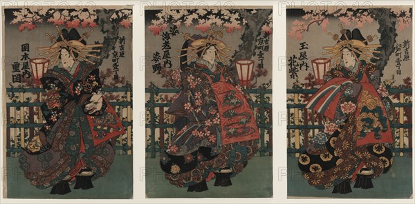 Courtesans Shigeoka, Sugatano and Hanamurasaki. Triptych. From the Series The Beauties of the Yoshiw Artist: Anonymous