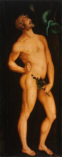 Adam. Artist: Baldung, Hans (1484-1545)