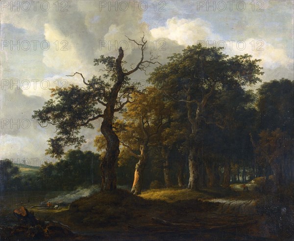 A Road through an Oak Wood. Artist: Ruisdael, Jacob Isaacksz, van (1628/29-1682)