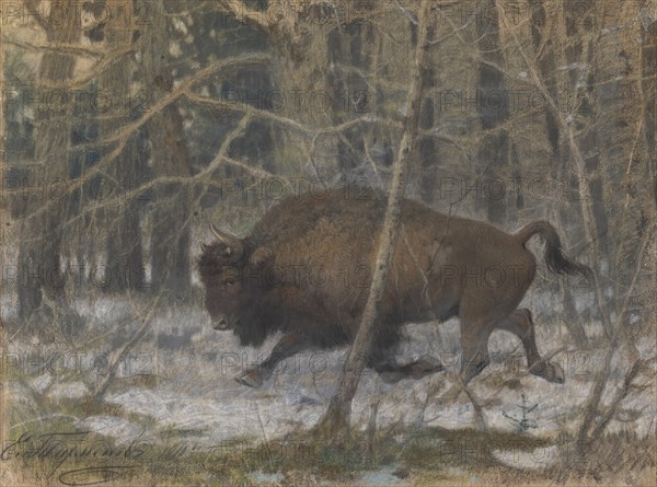 The wood bison. Artist: Tichmenev, Evgeny Alexandrovich (1869-1934)