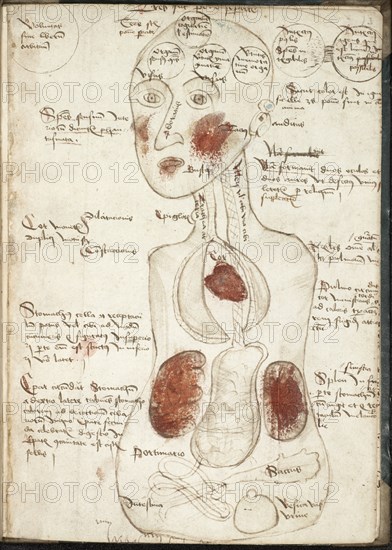 Representation of an Aristotelian Theory of Consciousness (From: De corpore et anima). Artist: Anonymous