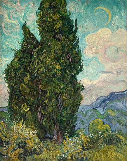 Cypresses. Artist: Gogh, Vincent, van (1853-1890)