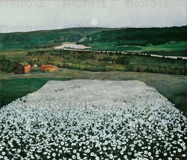 Flower Meadow in the North. Artist: Sohlberg, Harald (1869-1935)