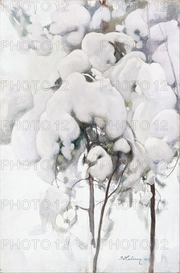 Snow-Covered Pine Saplings. Artist: Halonen, Pekka (1865-1933)