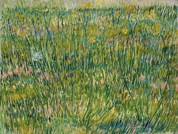 Patch of grass. Artist: Gogh, Vincent, van (1853-1890)