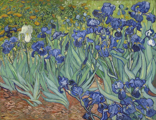 Irises, 1889. Artist: Gogh, Vincent, van (1853-1890)