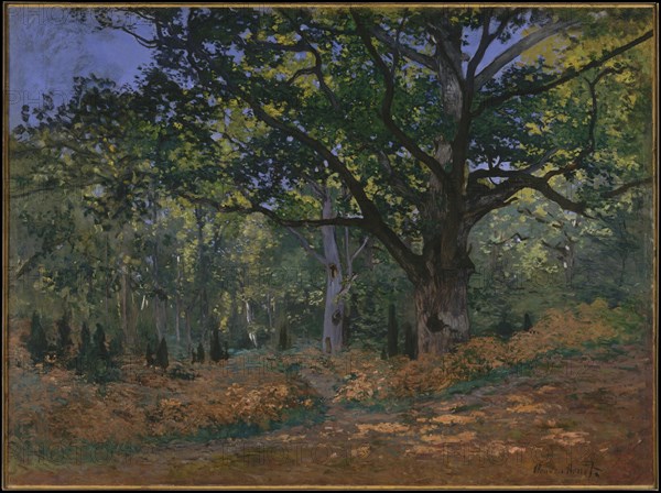 The Bodmer Oak, Fontainebleau Forest, 1865. Artist: Monet, Claude (1840-1926)