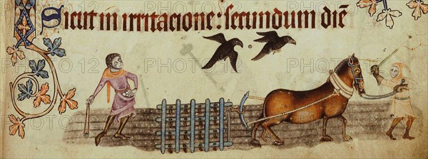 Peasants ploughing (From the Luttrell Psalter), ca 1330. Artist: Anonymous