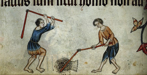 Two men threshing sheaf (From the Luttrell Psalter), ca 1330. Artist: Anonymous
