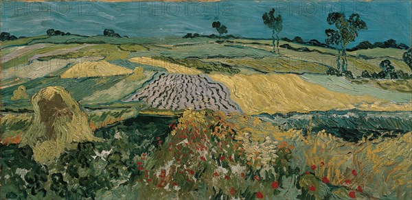 The Plain of Auvers, 1890. Artist: Gogh, Vincent, van (1853-1890)