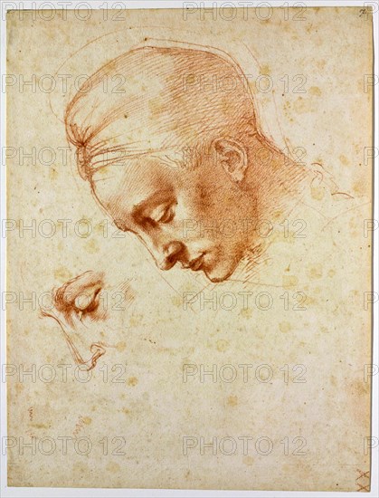 Study to the head of Leda, ca 1530. Artist: Buonarroti, Michelangelo (1475-1564)