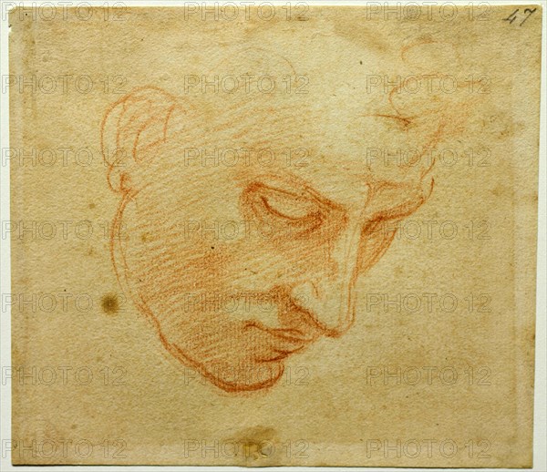 Head Study to the Sistine Chapel ceiling, ca 1509-1510. Artist: Buonarroti, Michelangelo (1475-1564)