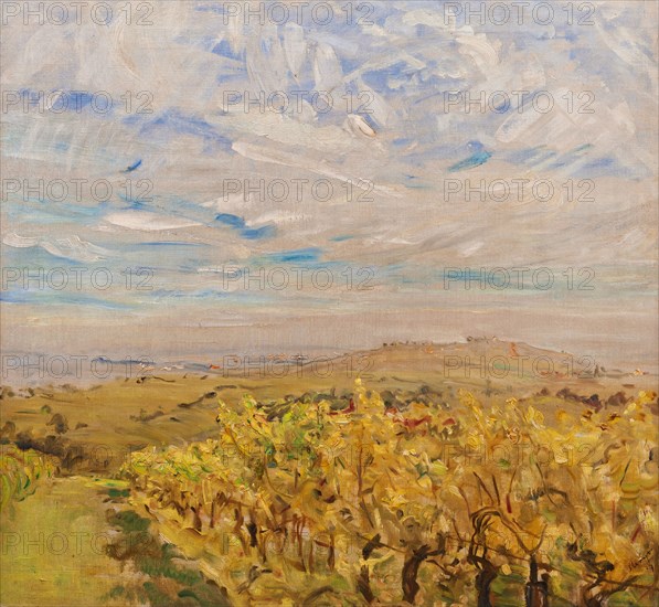 Early Autumn in the Palatinate. Vineyards near Neukastel, 1927. Artist: Slevogt, Max (1868-1932)