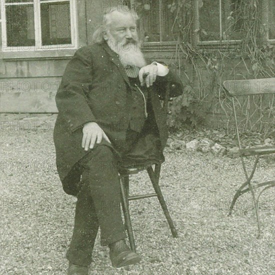 Portrait of the composer Johannes Brahms (1833-1897), 1894. Artist: Fellinger, Maria (1849-1925)