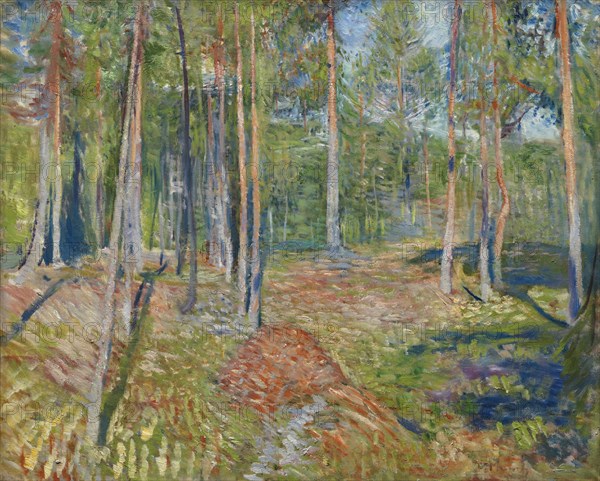 Pine Forest, 1891-1892. Artist: Munch, Edvard (1863-1944)