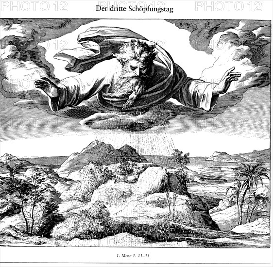 The Third Day of Creation (From Die Bibel in Bildern), 1852-1860. Artist: Schnorr von Carolsfeld, Julius (1794-1872)