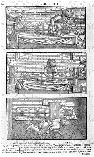 Illustration from Liber canonis de medicinis cordialibus by Avicenna, 1556. Artist: Anonymous