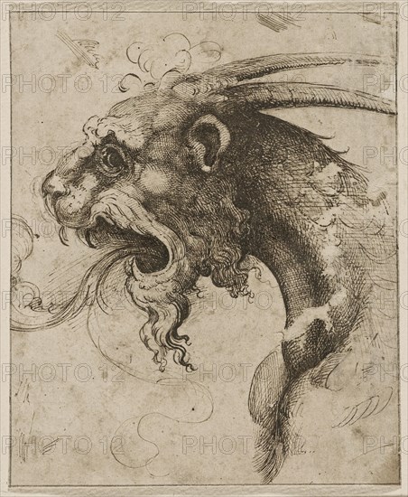 Head of a Chimera.